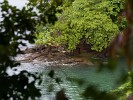 Boca Brava island in the Gulf of Chiriquí. : Panama