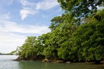 Boca Brava island in the Gulf of Chiriquí. : Panama