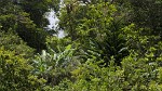 Lush-green Boquete. : Panama