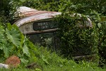 Abandoned public transportation bus. : Panama