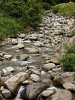 Stream through Boquete. : Panama