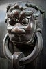 Detail of a bronze vat. These vats can be found all over the forbidden city and they once contained water for fire-fighting purposes. : China