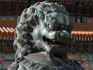 Bronze lion guarding in the forbidden city. : China