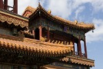 The Yonghegong or Lama temple in Beijing. : China