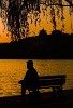 Serenity on the shore of Kunming lake. : China, Sunset