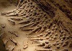 The impressive underground Tomb of Emperor Jingdi (or Han Yangling museum) near Xi'an. So far the excavations have unearthed over 8000 naked, armless terracotta figures, of about 70-90 centimeters high. : China