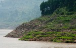 Yangzi river cruise. : China