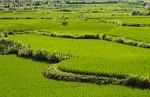 Pictoresque countryside around Wùyuán. : China