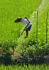 Pictoresque countryside around Wùyuán. : China