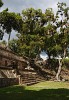 The Cemetery group, Copán Ruinas. : Honduras