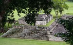 The Western part of the ballcourt, Copán Ruinas. : Honduras