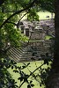 Westside of the ballcourt, Copán Ruinas. : Honduras