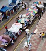 Market at the Catedral of León. : Nicaragua