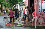 Mustering for a free rabies shot in Altagracia, Isla de Ometepe. : Nicaragua