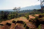 8-hour busride from Labuhan to Bandung, Indonesia.