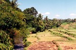 Lombok, Indonesia.