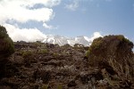 Kilimanjaro, Tanzania.