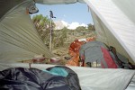 Splendid view of the top of the Kilimanjaro, Tanzania.