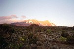 Day three: acclimatisation day - Kilimanjaro, Tanzania.