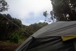 Campsite on day five at 3000m after descending for six hours. It's been a long day... - Kilimanjaro, Tanzania.