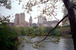 Central Park in New York City.