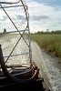 Airboating through the Everglades, FL.