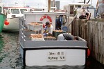 Crab-fishermen in Sydney - Nova Scotia, Canada.