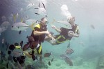 Diving in the SeaQuarium on Curaçao, Dutch Antilles.