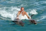 Swimming with dolphins at the Dolphin Academy - Curaçao, Dutch Antilles.