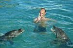 Swimming with dolphins at the Dolphin Academy - Curaçao, Dutch Antilles.