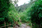 Trekking in Northern Thailand.