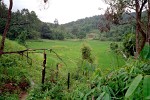 Trekking in Northern Thailand.