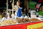 Nice crunchy bugs in Chiang Mai, Thailand.