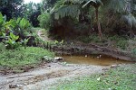 Off-Road on Île Sainte Marie, Madagascar.