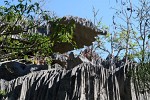 Parc National des Tsingy (Grands Tsingy), Madagascar.