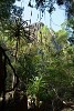 Parc National des Tsingy (Grands Tsingy), Madagascar.