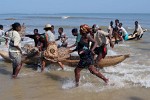 In a frenzy women storm the returning fishermen to get their share of the fish -  Morondava, Madagascar.