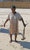 Small Hammerhead - Morondava, Madagascar.