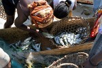 Fishing-madness in Morondava, Madagascar.