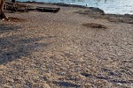 Drying fish - Ifaty, Madagascar.