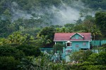 View from my cabin in Agujitas on Península de Osa, Costa Rica. : Costa Rica