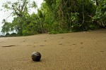 One of the many deserted beaches on Península de Osa, Costa Rica. : Costa Rica