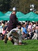 1066 Battle of Hastings, Abbey and Battlefield. : United Kingdom