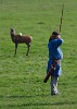 1066 Battle of Hastings, Abbey and Battlefield. : United Kingdom