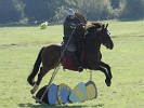 1066 Battle of Hastings, Abbey and Battlefield in 2011. : United Kingdom