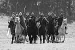 1066 Battle of Hastings, Abbey and Battlefield in 2011. : United Kingdom