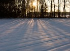 Winter Wonderland Baarle-Nassau. : The Netherlands