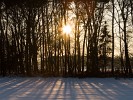 Winter Wonderland Baarle-Nassau. : The Netherlands