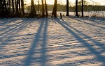 Winter Wonderland Baarle-Nassau. : The Netherlands