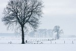 Winter Wonderland Baarle-Nassau. : The Netherlands